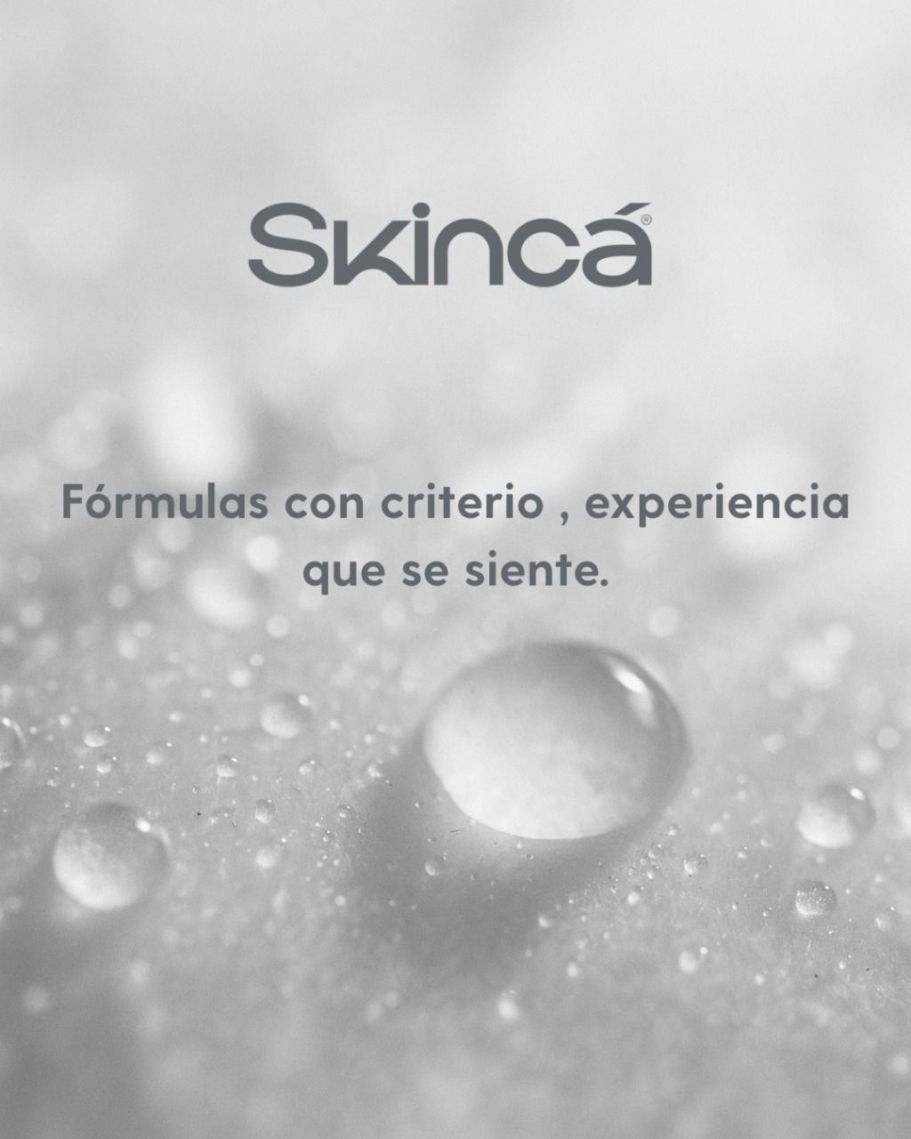 Skinca - Nuestra propia linea de productos - Imagen 2